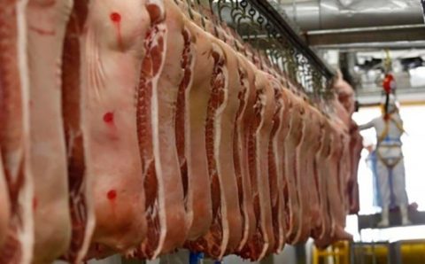 BNDES amplia exigências socioambientais para abate de bovinos