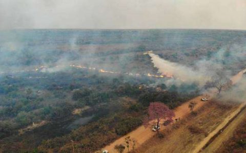 MT: ADEUS 2021: CIÊNCIA  X SABEDORIA POPULAR DO HOMEM PANTANEIRO:  Pantanal continua resistindo, mas até quando?