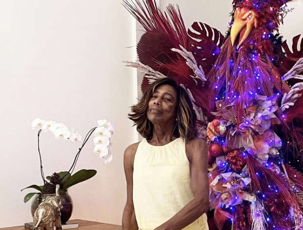 Gloria Maria comemora Natal ao lado de árvore inusitada