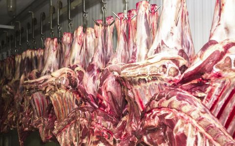 Governo quer ampliar municípios que fazem inspeção de produtos animais