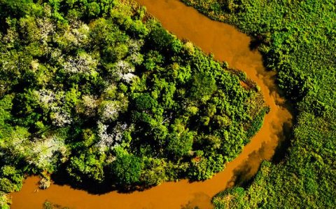 Encontro “Política Florestal e Agronegócio” está com inscrições abertas