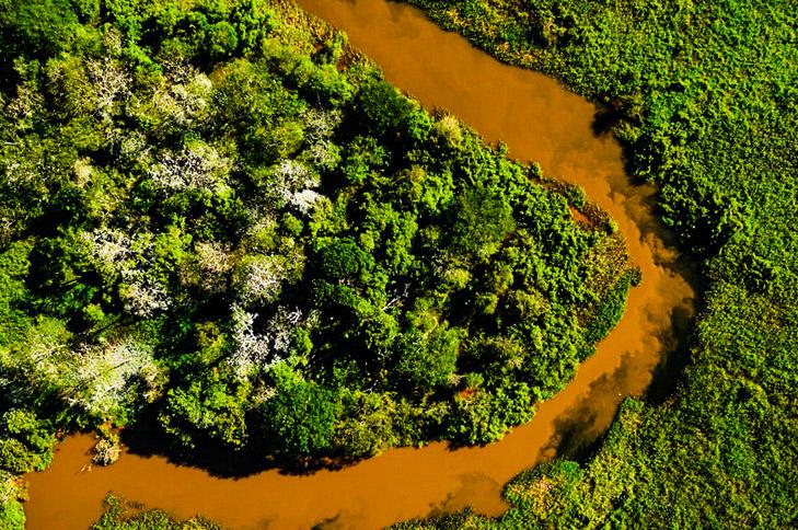 Pantanal: mais seco, menos verde