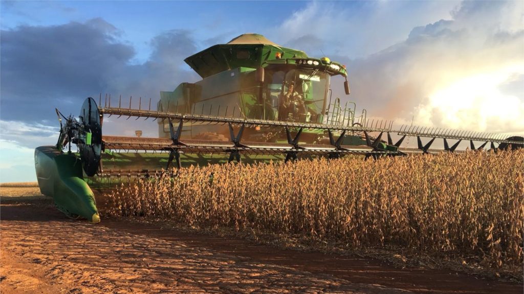 Excesso de chuvas em MT limita avanço da colheita de soja do Brasil, diz consultoria