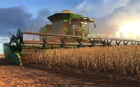 Excesso de chuvas em MT limita avanço da colheita de soja do Brasil, diz consultoria