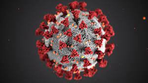 Covid-19: cientistas dizem que Ômicron é alerta da ameaça do vírus