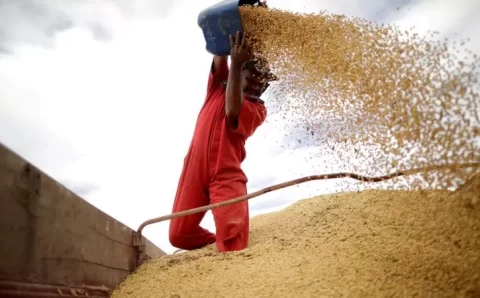 A briga entre cientistas e produtores de soja que gerou racha no agronegócio e foi parar no STF