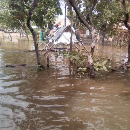 MT: SEM ALIMENTO E ÁGUA:  Indígenas do povo Kanela estão ilhados após enchente
