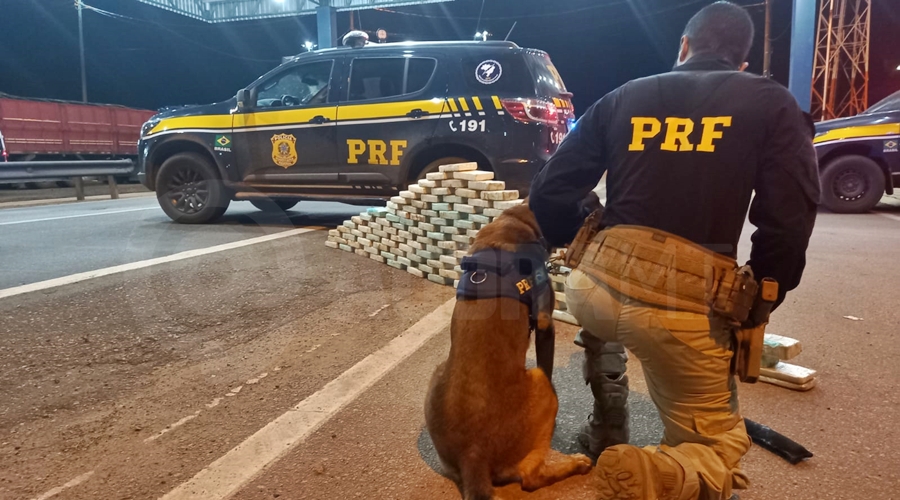 AJUDA DO CÃO FAREJADOR:   PRF apreende145 tabletes de pasta base de cocaína escondidos em compartimentos de carreta