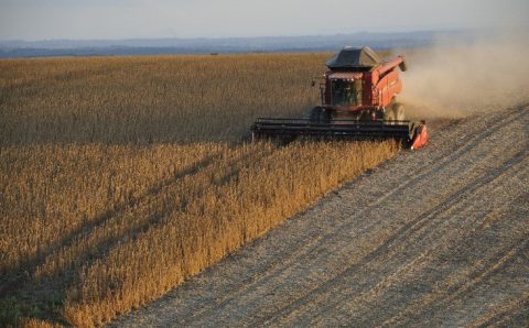 Mato Grosso começa colheita da maior safra de soja da história do Brasil