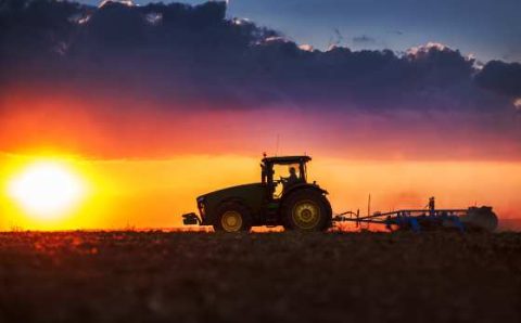 MT: AGRONEGÓCIO:   Mato Grosso responde por 17% do Valor Bruto da Produção Agropecuária nacional