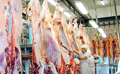 MT vai a Expo Dubai para ampliar as relações comerciais com a Ásia