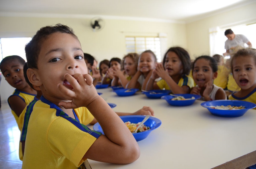 MT:  SAÚDE:  Merenda escolar de Mato Grosso pode ser enriquecida com mel e derivados