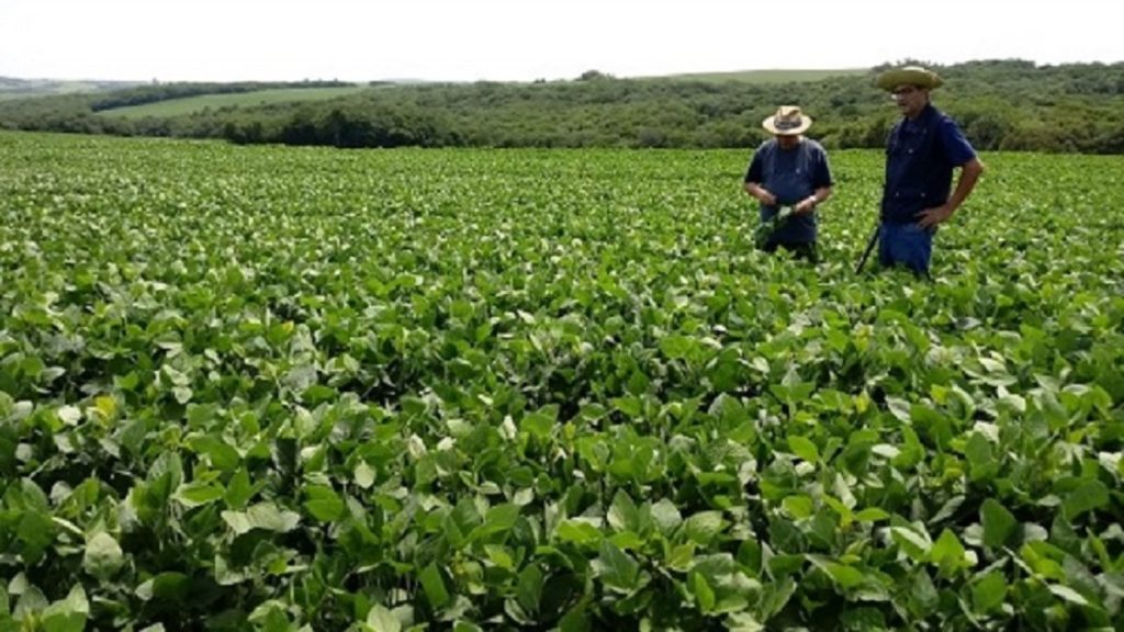 Brasil negocia compra de fertilizantes na Jordânia, Egito e Marrocos