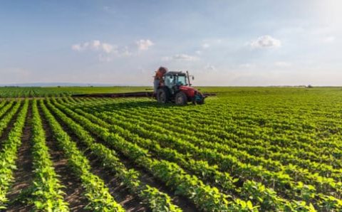 Governo de MT firma compromisso com a China para ampliar comércio agrícola sustentável
