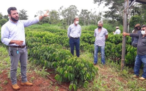 MT:  Encontro do Café no Médio Norte reúne agricultores e empresários de São Paulo e Minas Gerais