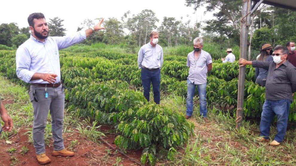 MT:  Encontro do Café no Médio Norte reúne agricultores e empresários de São Paulo e Minas Gerais