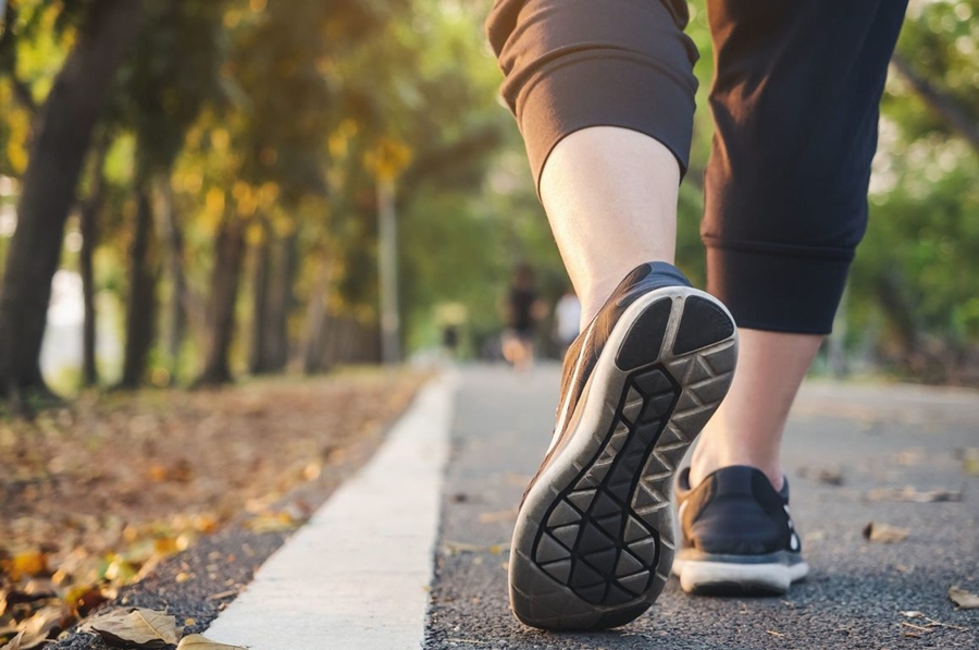 SAÚDE EM DIA:  Conheça os benefícios de caminhar 30 minutos todos os dias