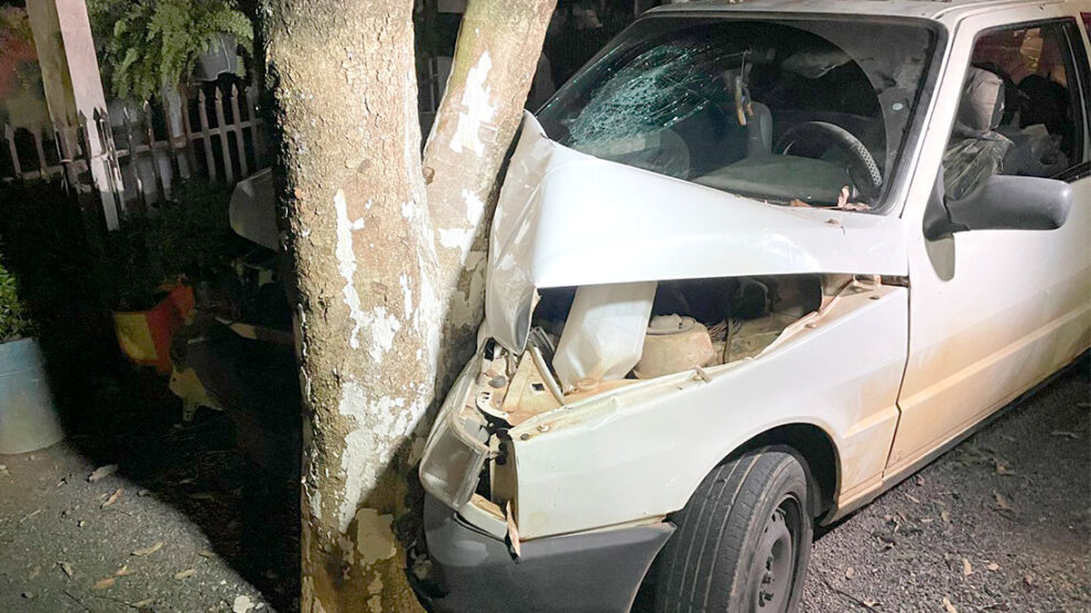 Condutor de carro atinge árvore em avenida de Sorriso e dois ficam feridos