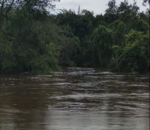 MT:  APÓS 15 ANOS NA JUSTIÇA: Em ação própria, indígenas cobram indenização de R$ 27 milhões de usina por poluição em rio que abastecia comunidade