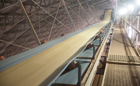 Mato Grosso tem novo recorde no esmagamento de soja