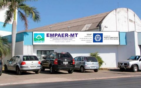 MT: Agricultoras são contempladas com recurso da Lei Aldir Blanc em Mato Grosso