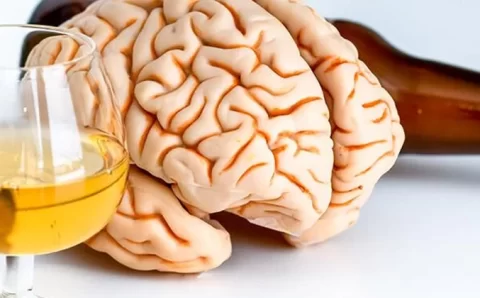 Duas cervejas por dia podem encolher o cérebro e acelerar envelhecimento