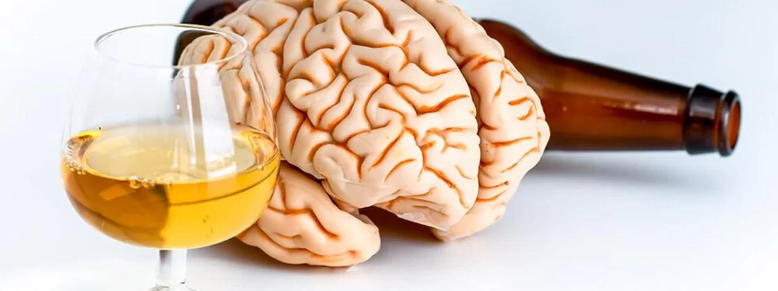 Duas cervejas por dia podem encolher o cérebro e acelerar envelhecimento