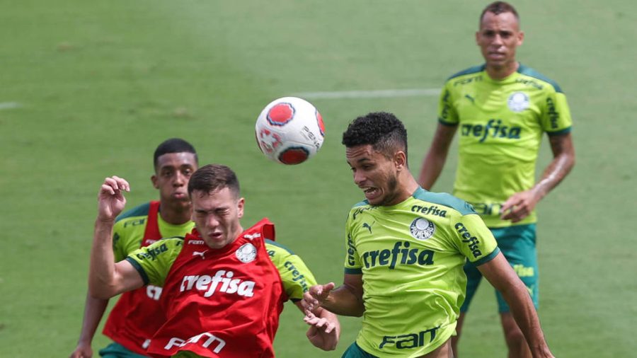 Abel revela que pediu para Palmeiras não vender Rony por proposta milionária