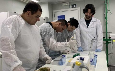 Retomadas pesquisas nos laboratórios da Estação Antártica Comandante Ferraz