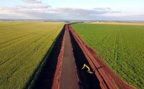 Safra 2021/22 cresce 4% em relação ao ciclo anterior