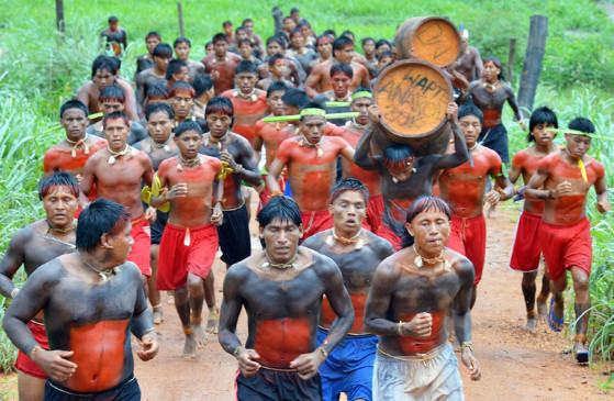 MT: CONTRA A DEVASTAÇÃO:   Povos indígenas reagem ao projeto que tira MT da Amazônia Legal