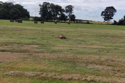 Homem é encontrado morto em terreno com marcas de tiro