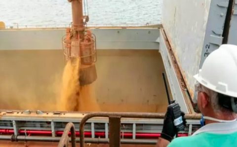 Mato Grosso tem recorde na venda de soja no exterior nos dois primeiros meses