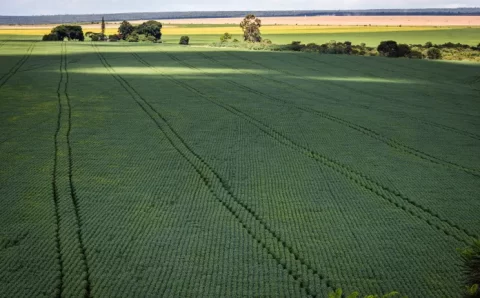 Ipea reduz previsão de PIB agropecuário de 2022 do país para 1%