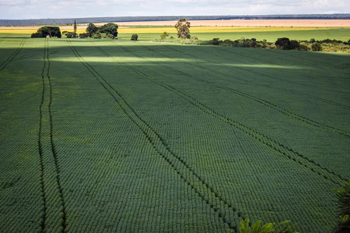 Ipea reduz previsão de PIB agropecuário de 2022 do país para 1%