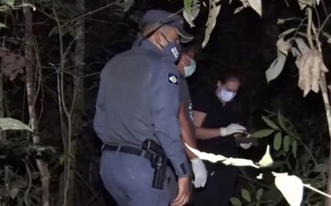 Dois corpos decapitados são encontrados em mata no Nortão