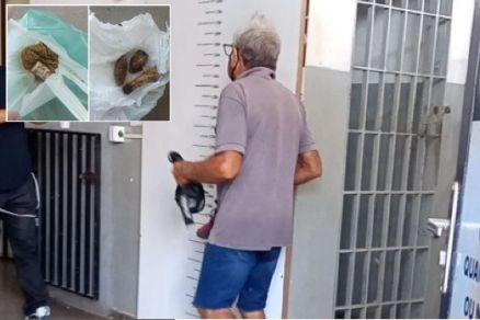 Idoso é preso por envenenar pets de vizinhos e animais de rua