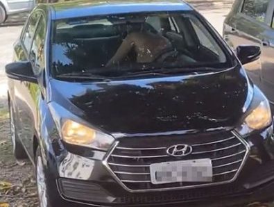 Casal é flagrado fazendo sexo em carro estacionado na UFMT