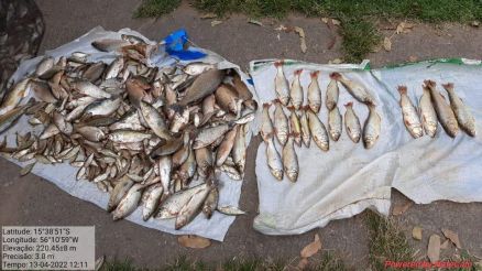 Três pessoas são presas por pesca ilegal na Passagem da Conceição