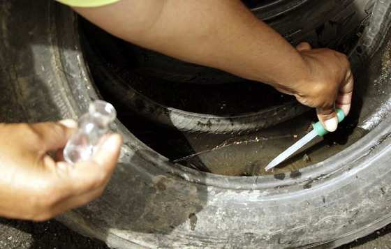 MT: PREFEITURA ALERTA:  Levantamento aponta infestações de dengue em todos os bairros de Cuiabá