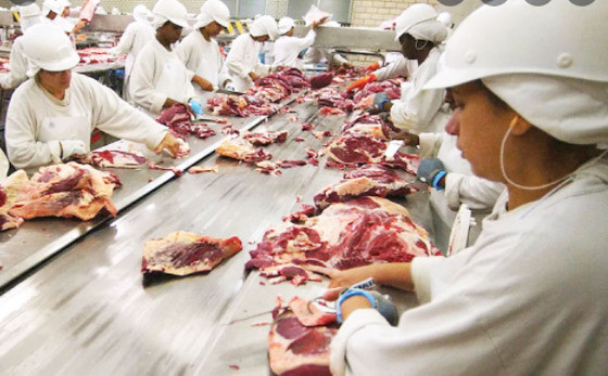 MT:  EM MARÇO:  Exportações de carne têm o 3º maior resultado de série histórica