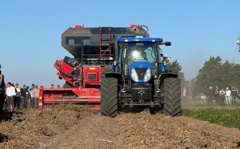 Governo conhece técnicas para fomentar produção de amendoim em MT