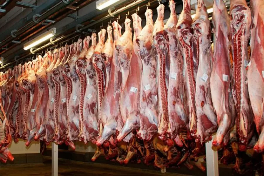 Aumento na produção de carnes deve reduzir preços para o consumidor