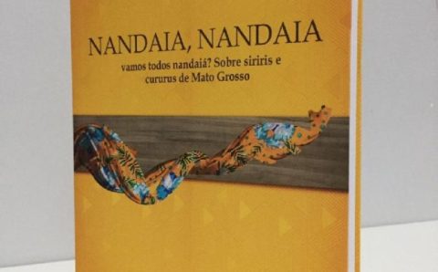 MT: Professora da rede estadual lança livro sobre cururu e siriri em homenagem a Cuiabá