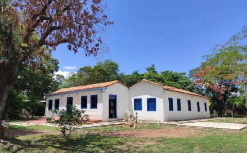 Museu de História Natural promove oficinas de terrário, desenho e dança