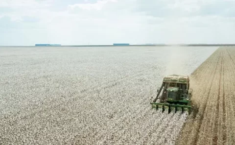 MT: FCO disponibiliza R$ 320 milhões em crédito para setores empresarial e rural de Mato Grosso