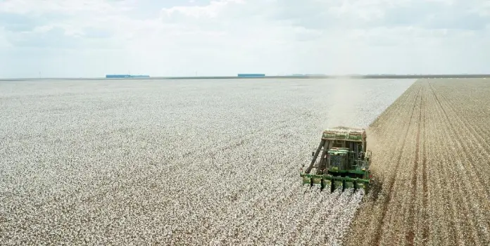 MT: FCO disponibiliza R$ 320 milhões em crédito para setores empresarial e rural de Mato Grosso