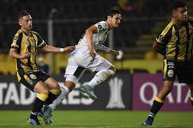 Veiga destaca força do Palmeiras fora de casa e se diz feliz por Rafael Navarro