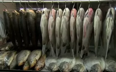 MT: PREÇO POPULAR:  Peixe Santo Solidário será realizado entre os dias 11 e 14 de abril