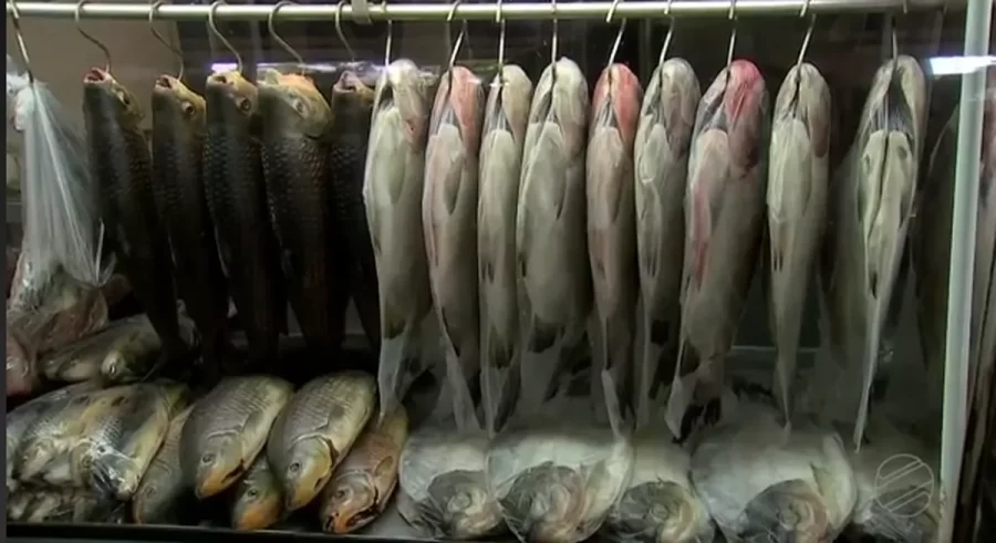 MT: PREÇO POPULAR:  Peixe Santo Solidário será realizado entre os dias 11 e 14 de abril